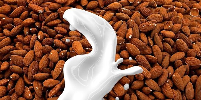 Gli svizzeri preferiscono quello all'avena. Cresce il consumo di latte vegetale: +73% in cinque anni