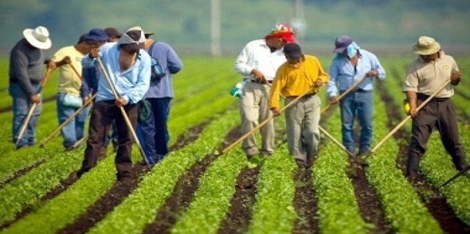 Scioglimento del Fondo Assegni familiari nell'agricoltura