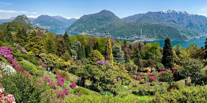 Le fioriture del Parco San Grato: spettacolo di primavera da non perdere