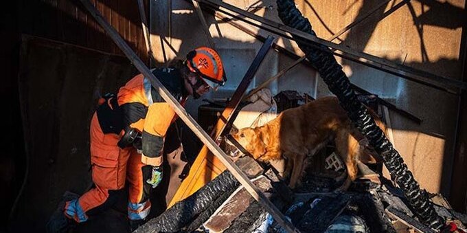 Coop dona 250 mila franchi per aiuti d'emergenza nelle zone terremotate