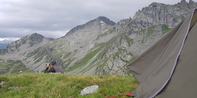 Lupo in Ticino: aiuti cantonali per tutelare gli allevatori